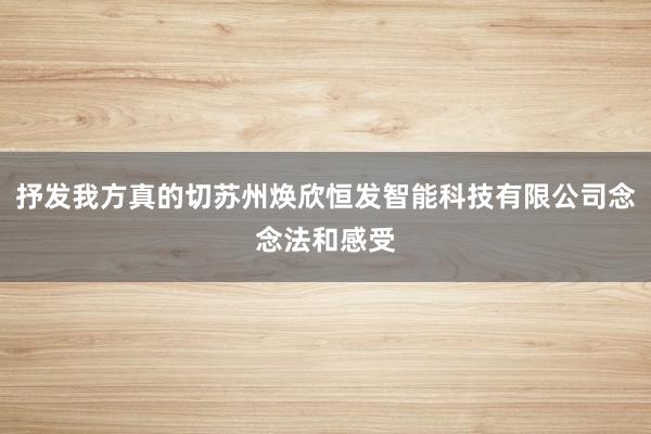 抒发我方真的切苏州焕欣恒发智能科技有限公司念念法和感受
