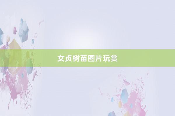 女贞树苗图片玩赏
