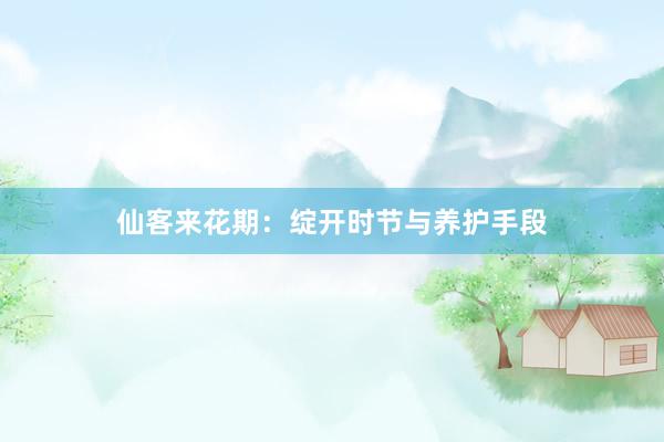仙客来花期：绽开时节与养护手段