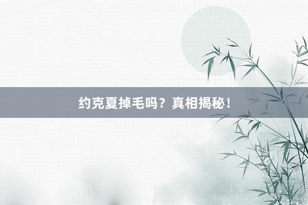 约克夏掉毛吗？真相揭秘！