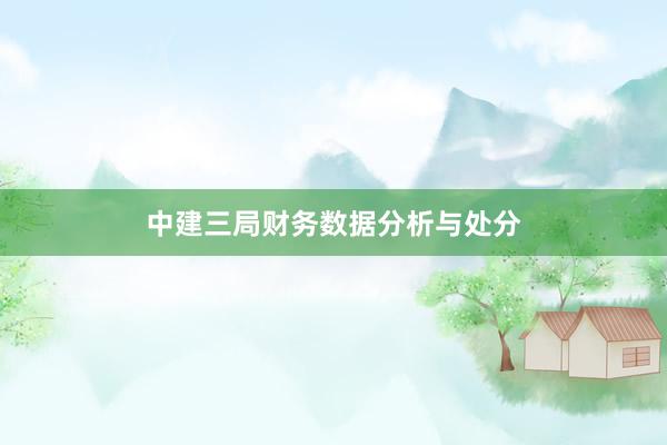 中建三局财务数据分析与处分