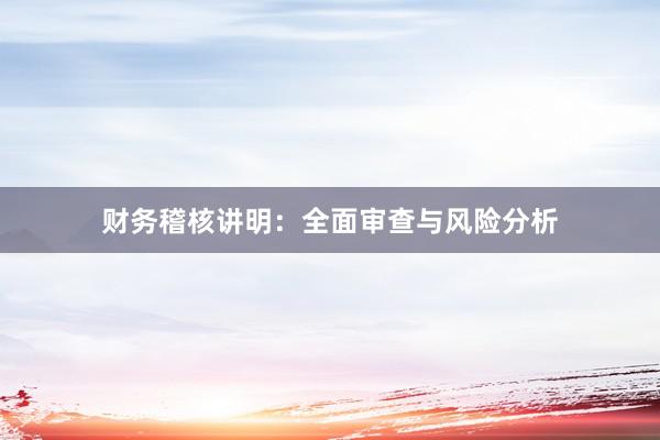 财务稽核讲明：全面审查与风险分析